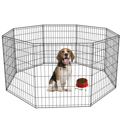 pet fence 01.jpg